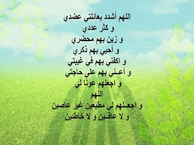 صور عن العائلة