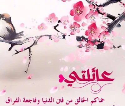 صور عن العائلة